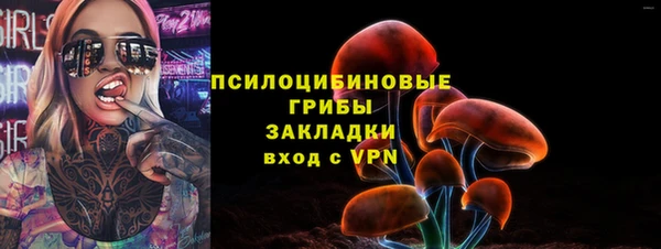 spice Верхний Тагил
