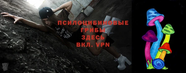 стаф Верея