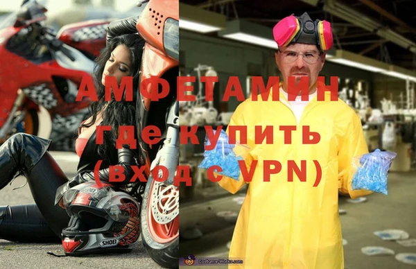 стаф Верея