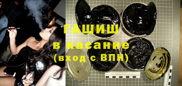 стаф Верея