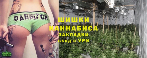 spice Бородино