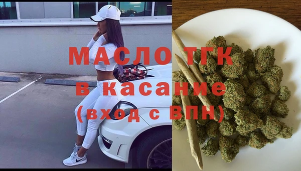 стаф Верея