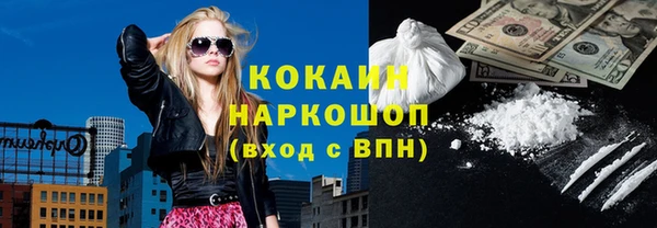 стаф Верея
