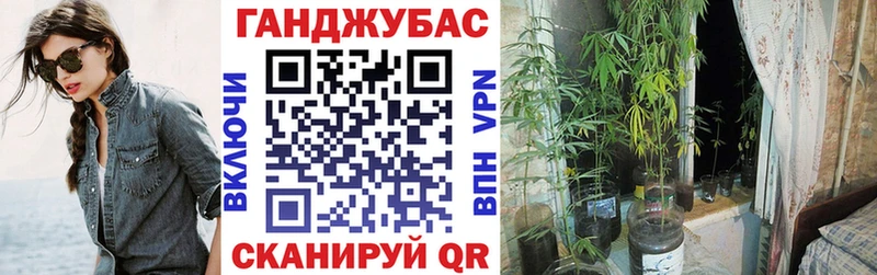 Канабис White Widow  Магнитогорск 